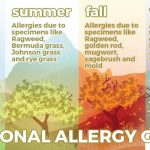 Alergi